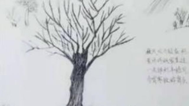 冬书（散文）